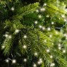750 Compact Twinkle LED Lights Warm White Lifestyle