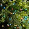 1000 Compact Twinkle LED Lights Multi-Coloured Lifestyle