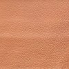 Bennu 8492 - Brandy