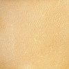 E4101 Cat 16 Butternut
